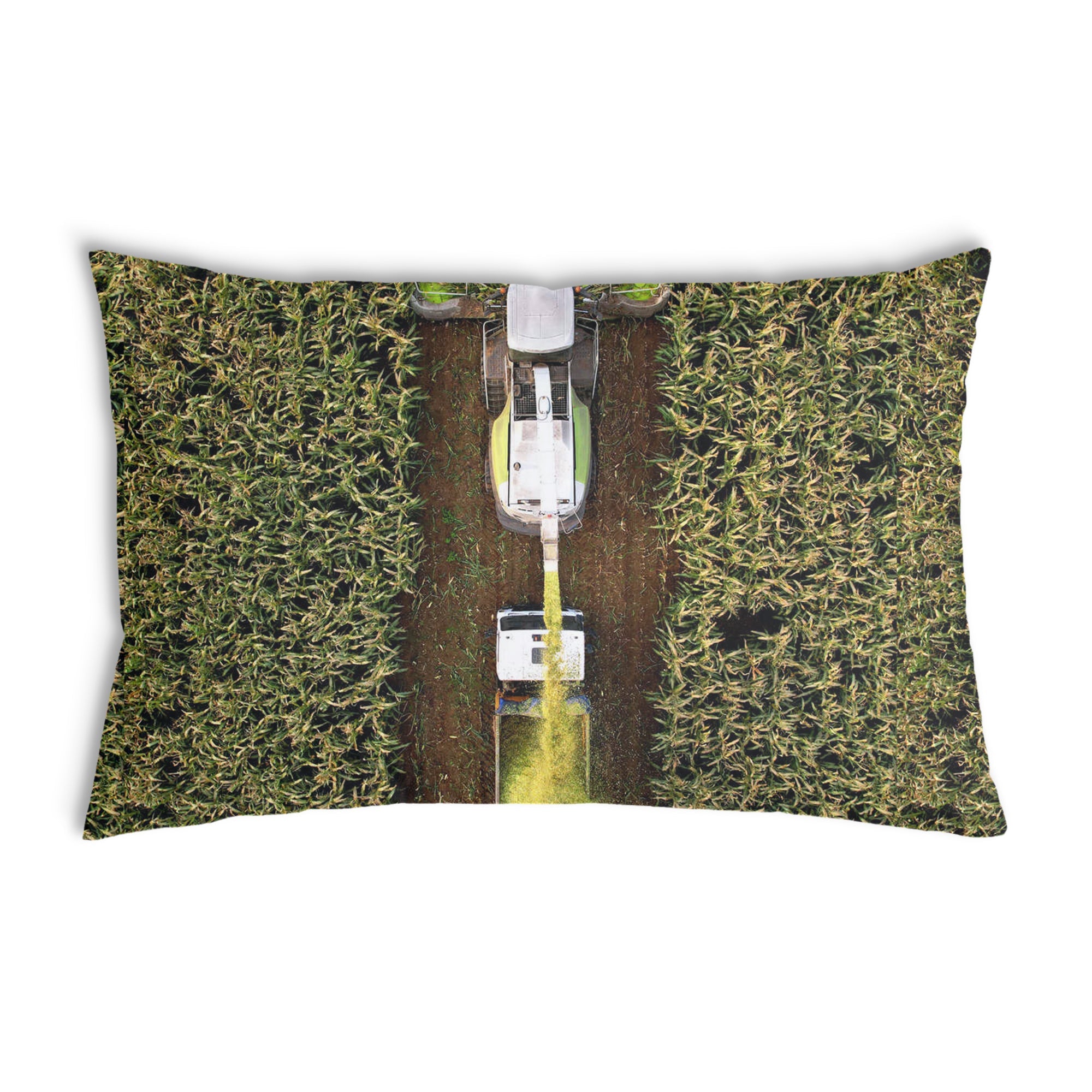 Almohada de salud Campo Verde