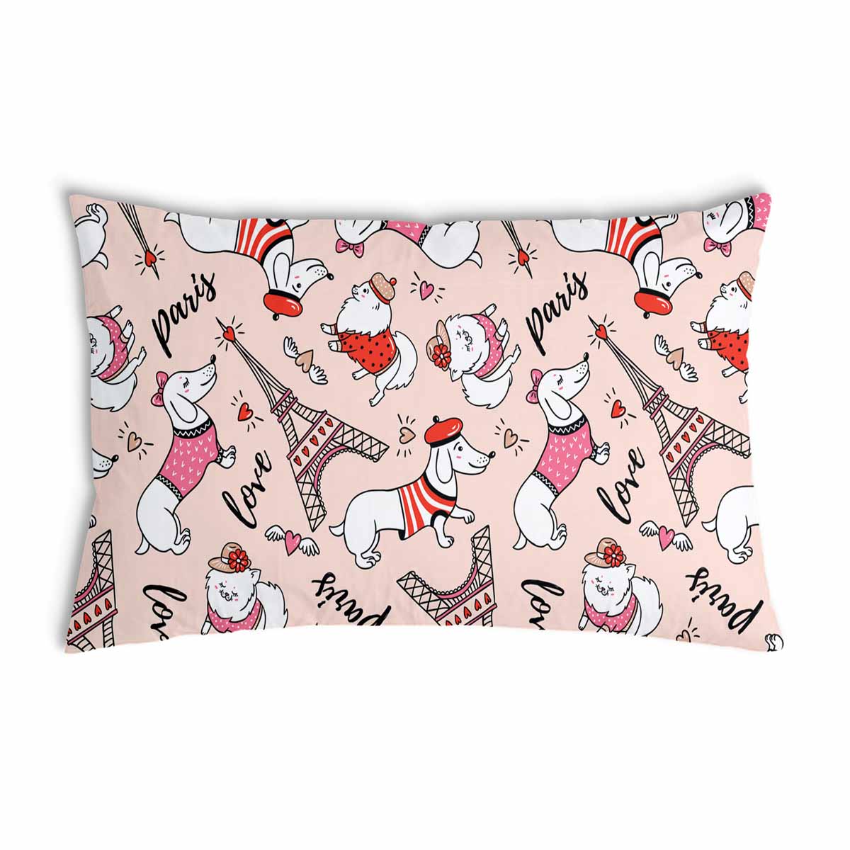 Gezondheidskussen hond in Parijs