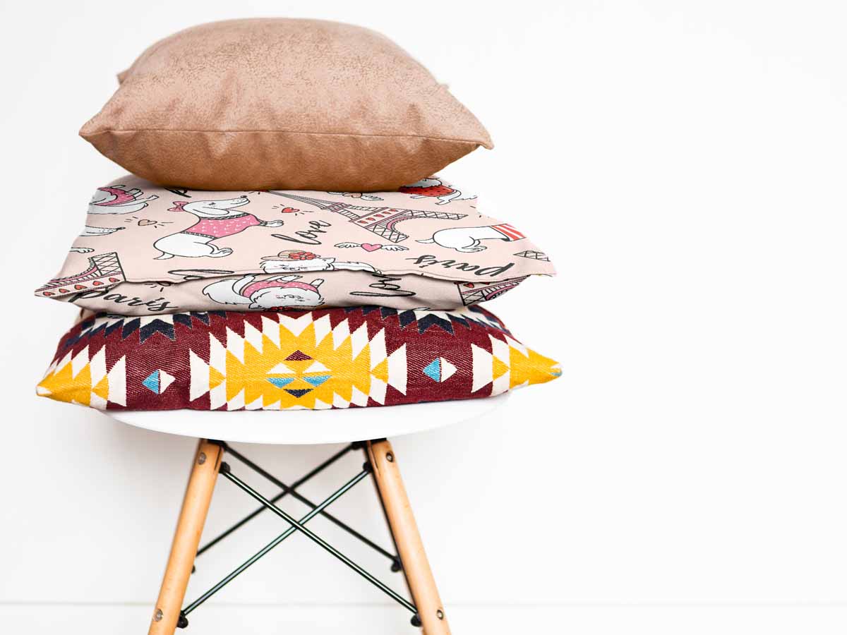 Gezondheidskussen hond in Parijs