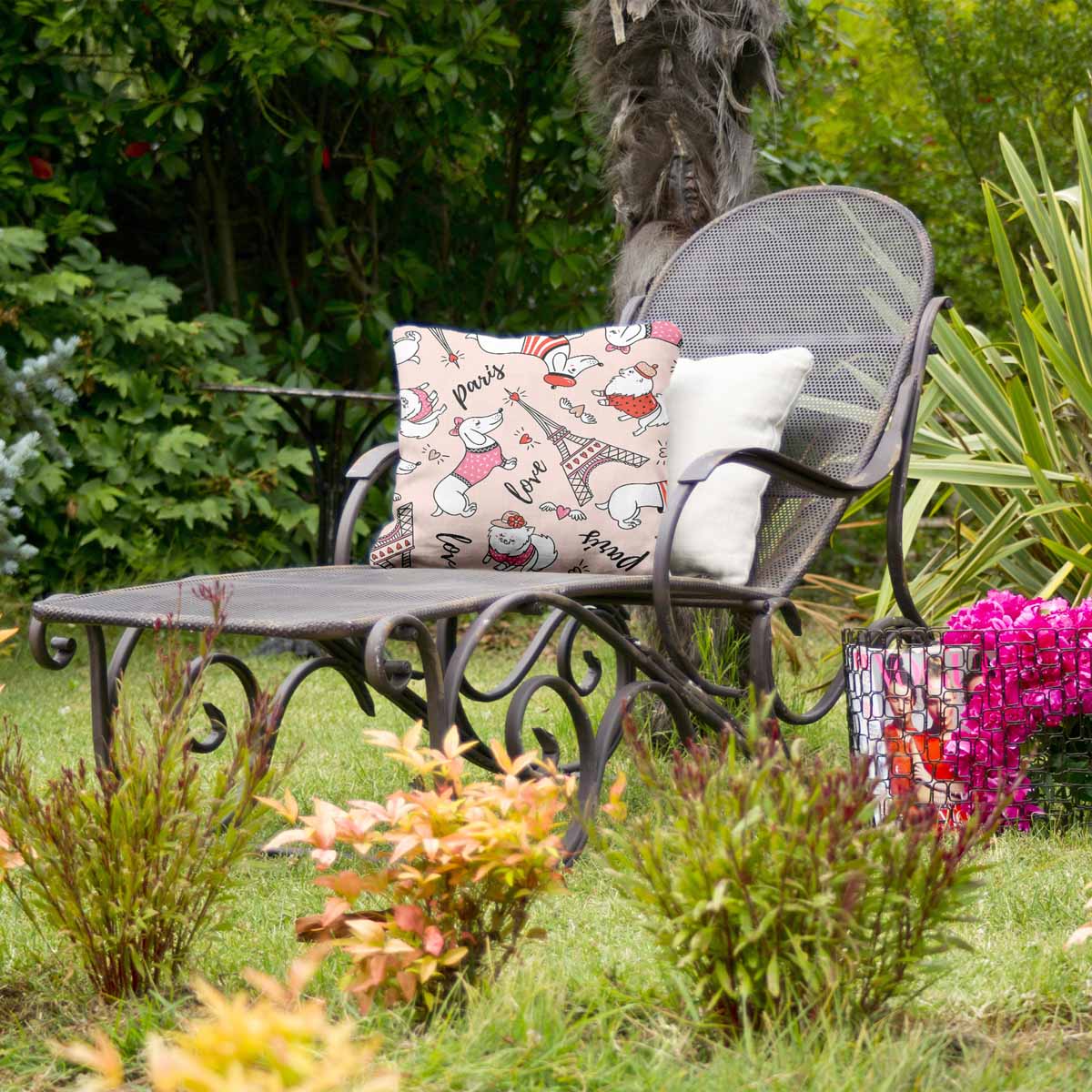 Gezondheidskussen hond in Parijs