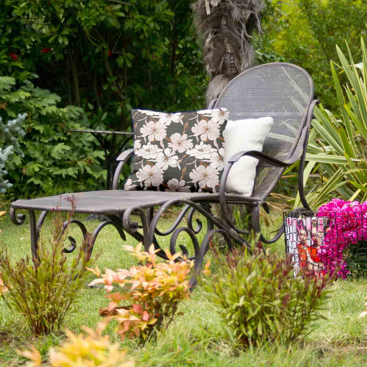 Almohada de salud con flores de áster rosa