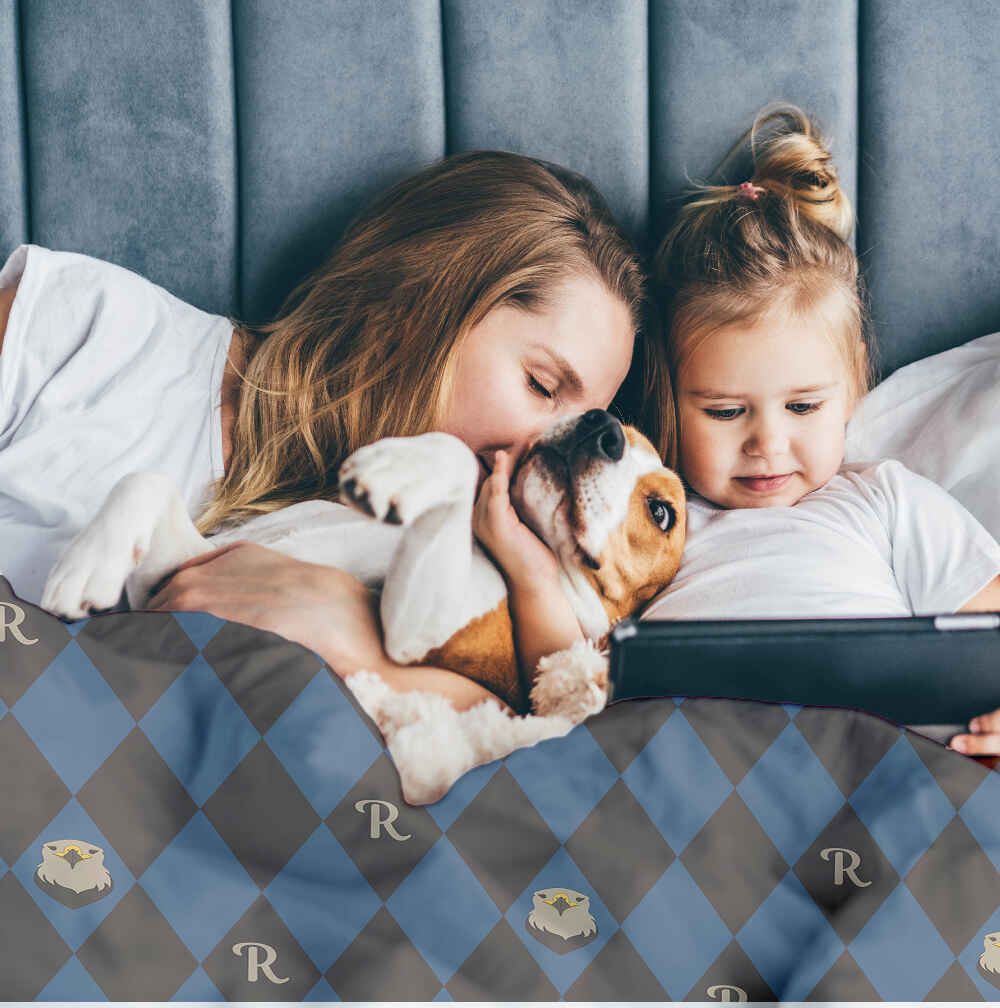 Therapy blankets bedding set schoolhouse R