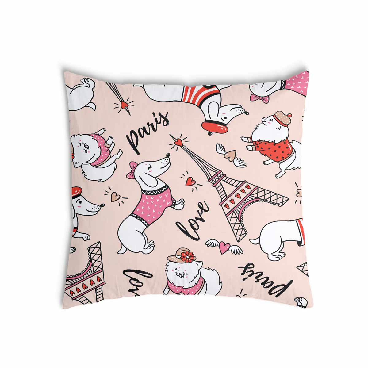 Gezondheidskussen hond in Parijs