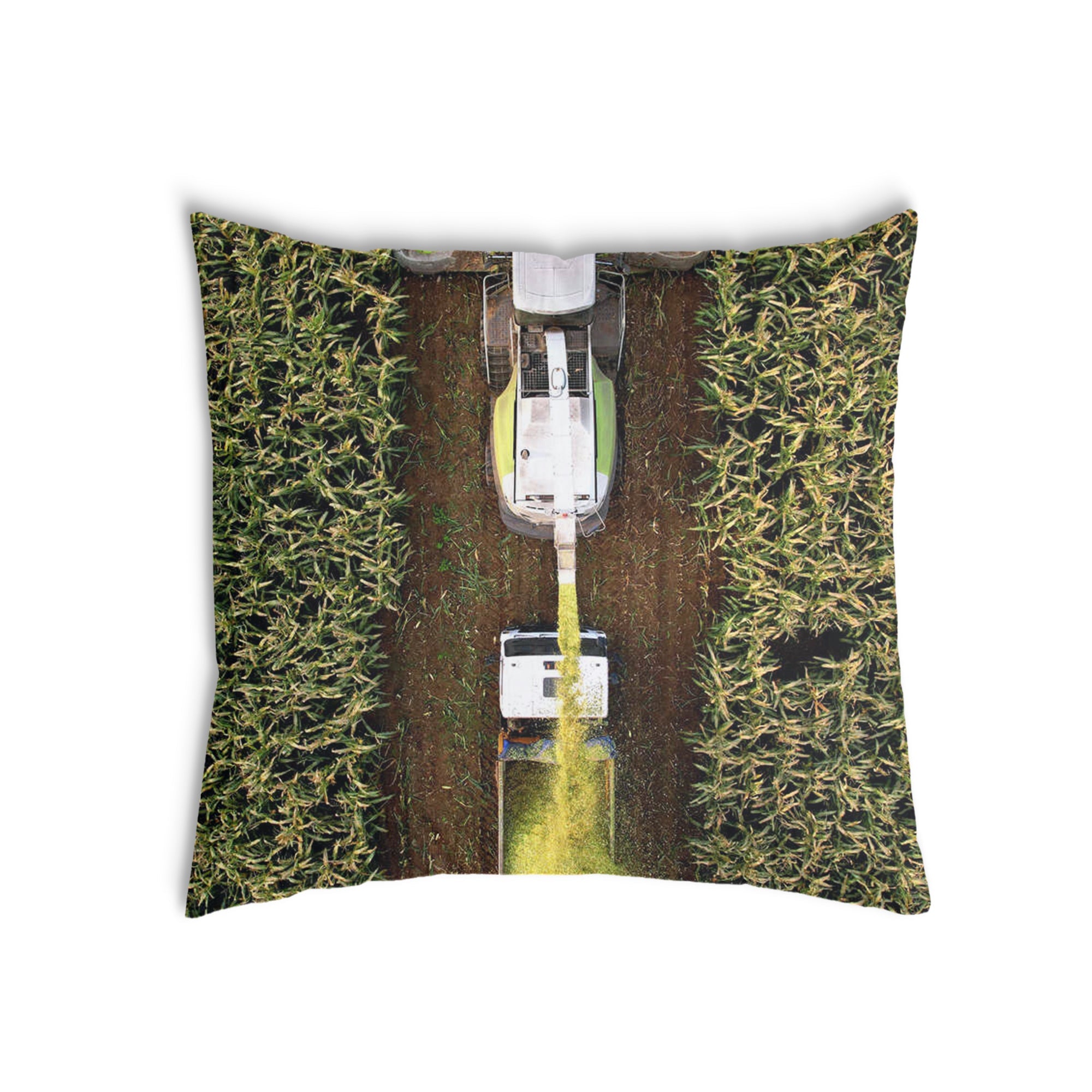 Almohada de salud Campo Verde