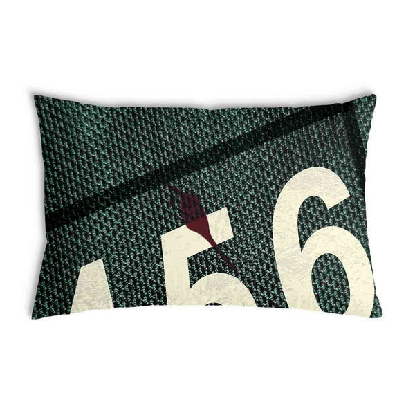 Cuscino salute verde 456