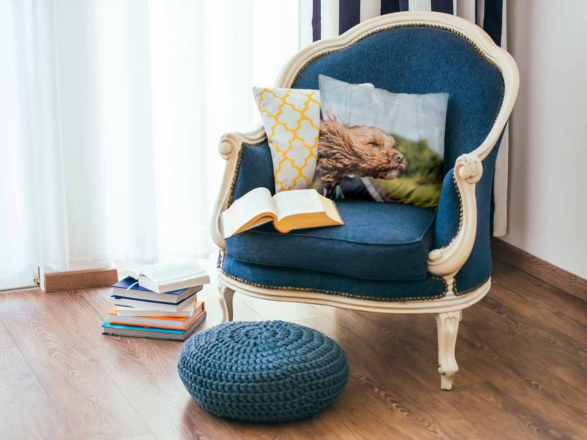 Health pillow with dog in the car
