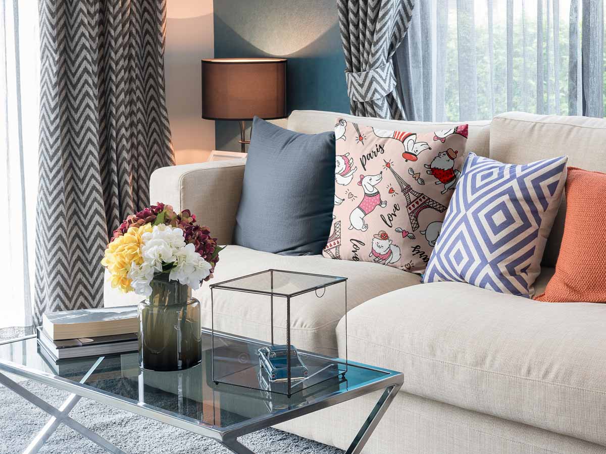 Gezondheidskussen hond in Parijs