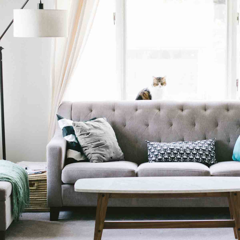 Health pillows with grey dots