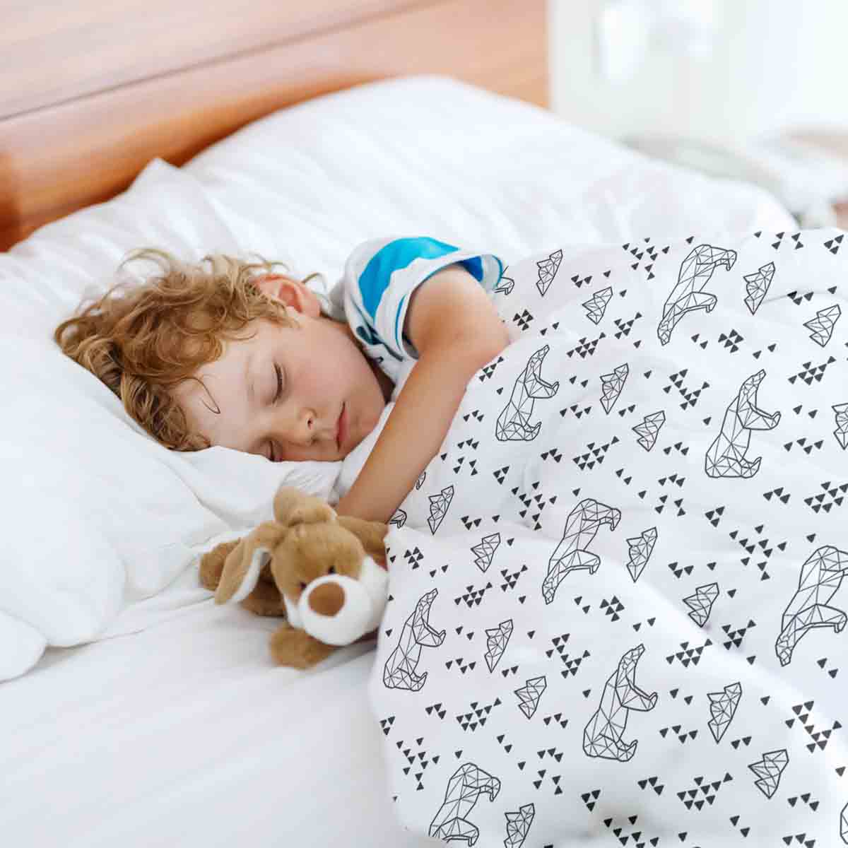 Set de ropa de cama con manta terapéutica Polo Norte