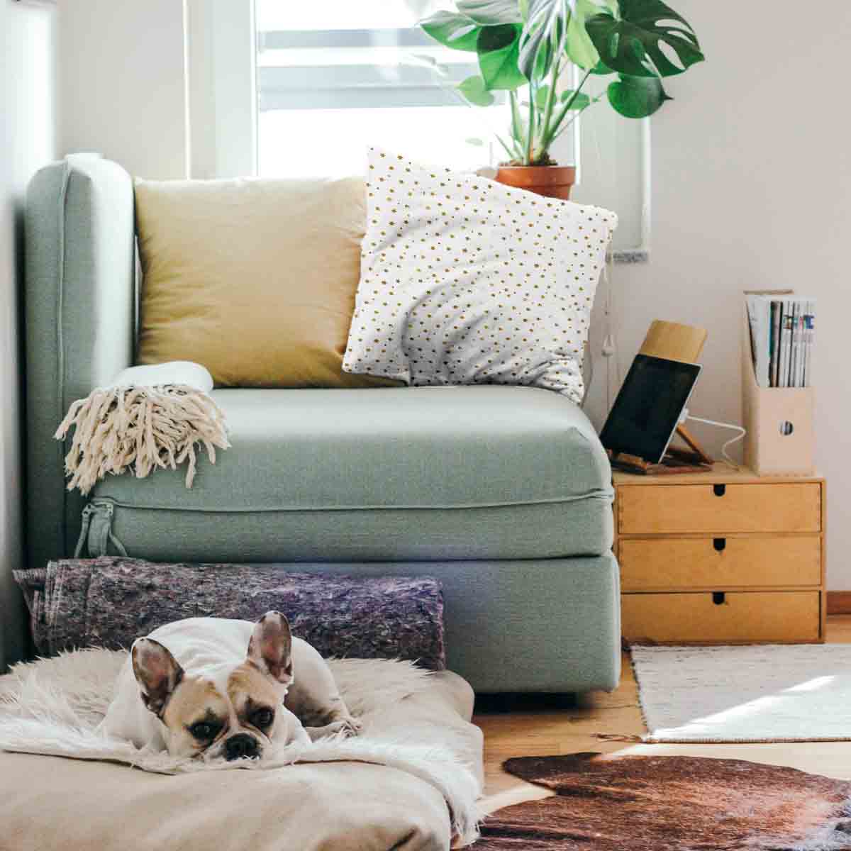 Gezondheidskussen Sterrenmagie