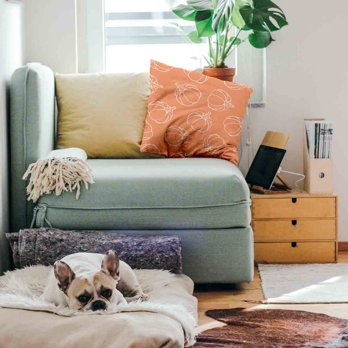Almohada de salud naranja con calabaza