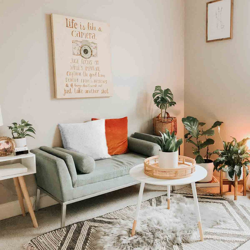 Health pillows with grey dots