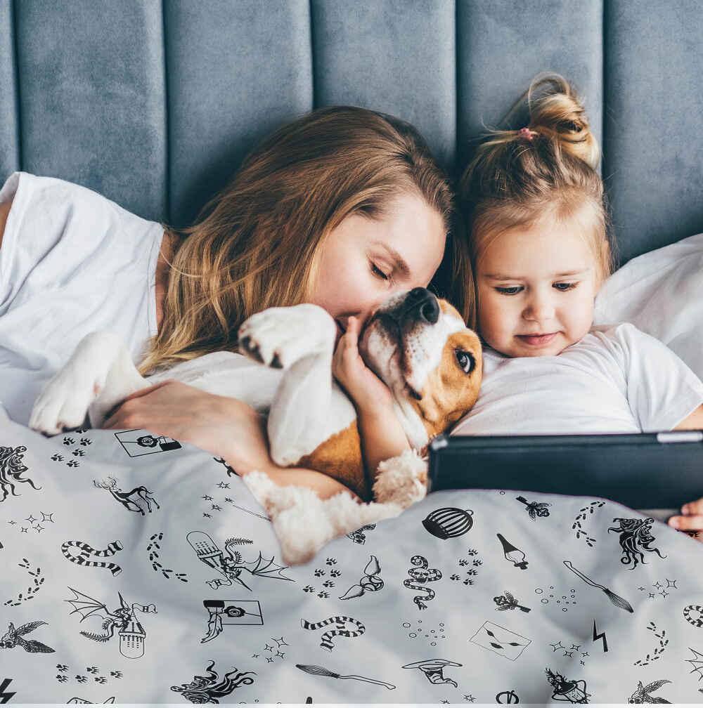 Therapy blankets bedding set gray magic