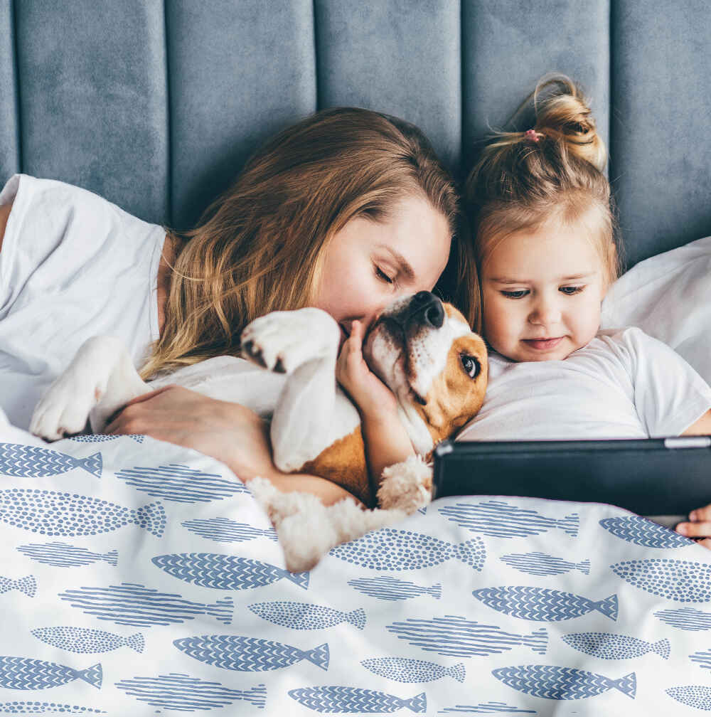 Therapy blankets bedding set blue fish