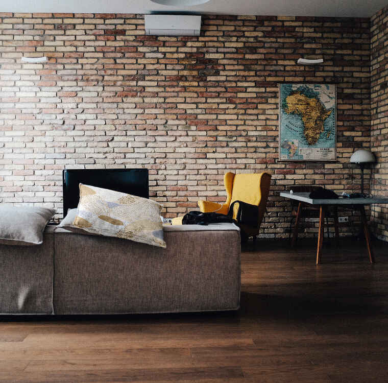 Health pillow sea anemone gold