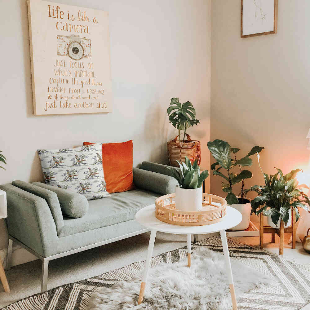 Gezondheidskussen Paradijsvogel