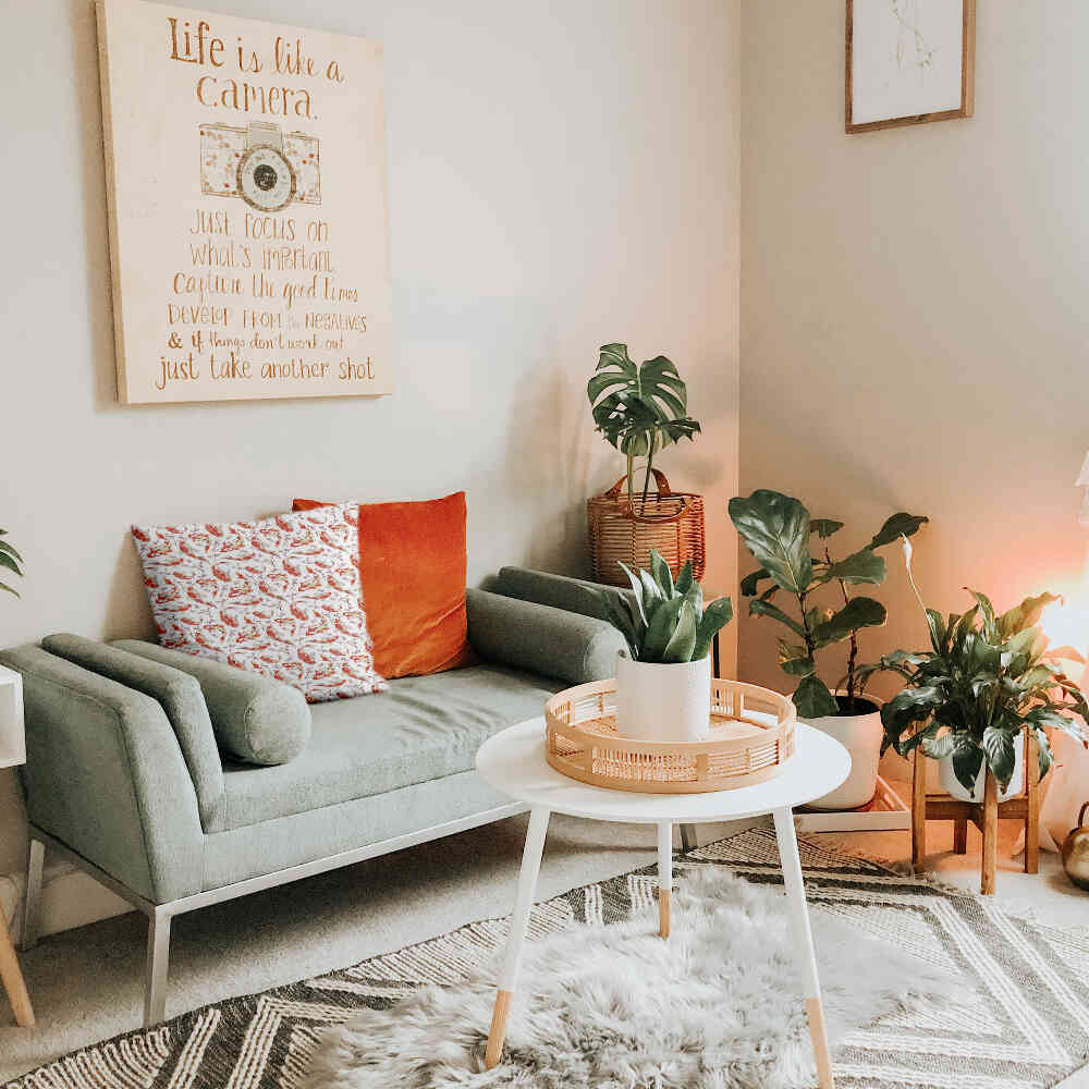 Almohada de salud carpa naranja