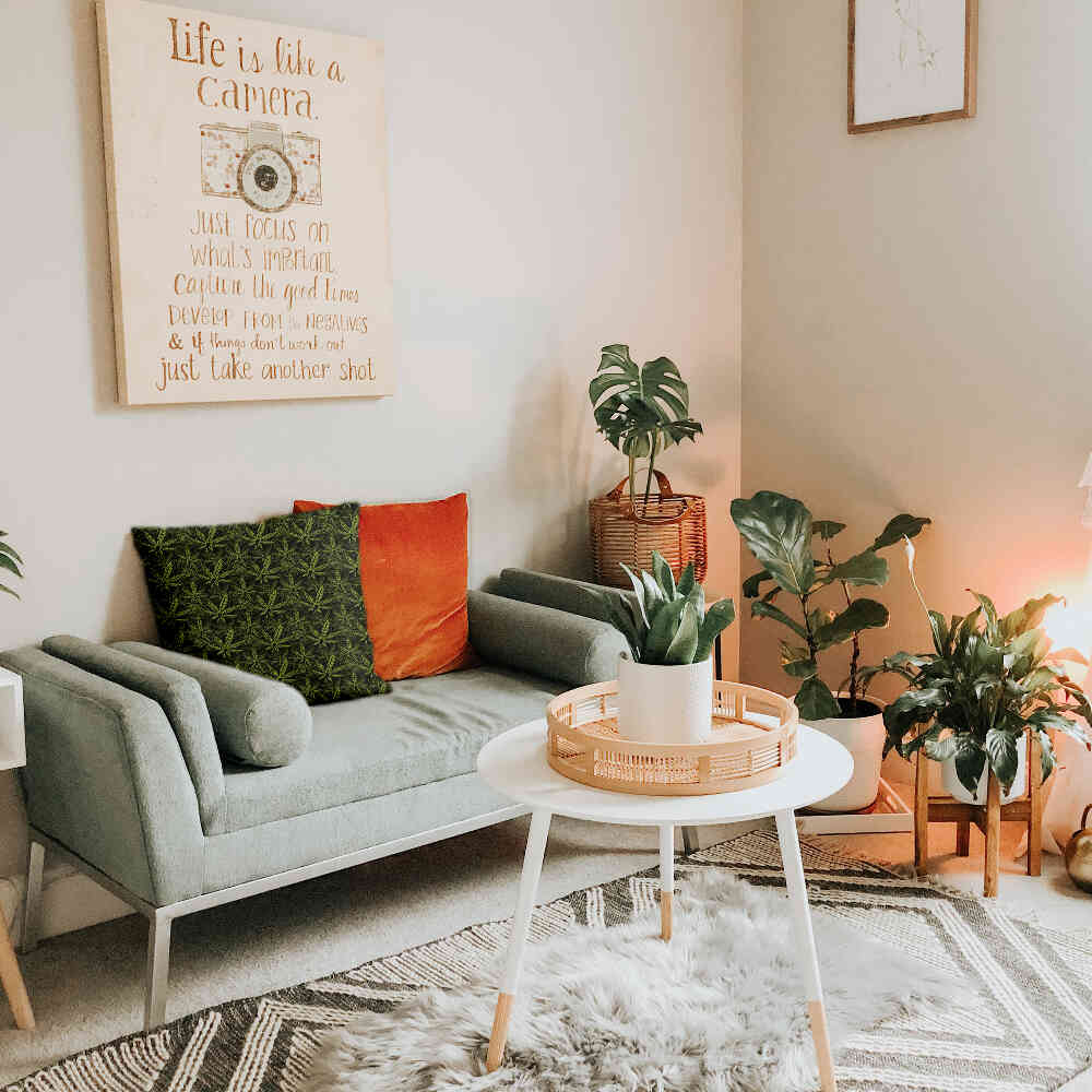 Gezondheidskussen hennepblad