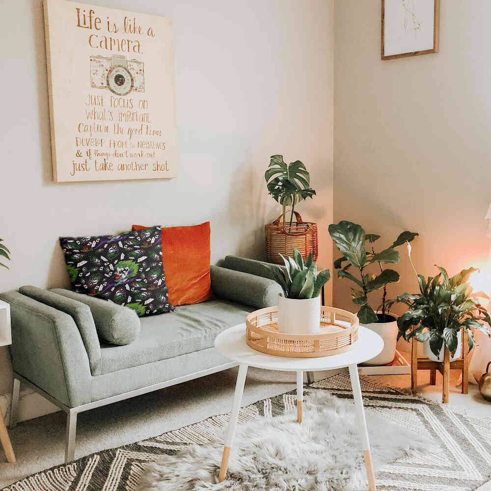 Health pillow colorful joker