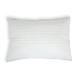 Black and blue health pillow for adults